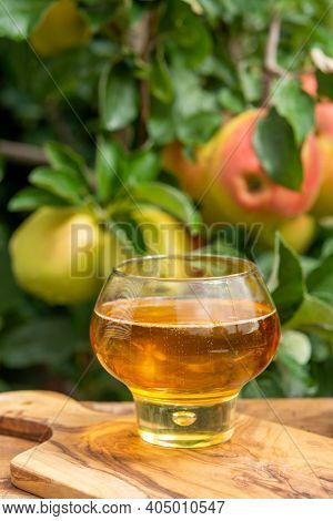 Glass Of Apple Cider From Normandy, France And Green Apple Tree With Ripe Red Fruits On Background