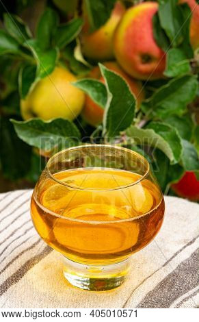 Glass Of Apple Cider From Normandy, France And Green Apple Tree With Ripe Red Fruits On Background
