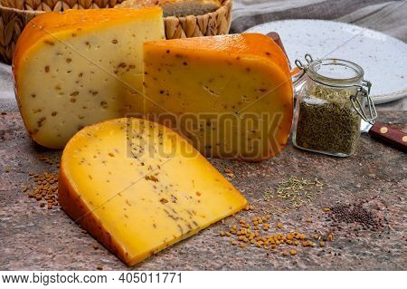 Cheese Collection, Pieces Of Hard Yellow Dutch Gouda Cheese With Dried Caraway, Mustard, Cumin, Fenu