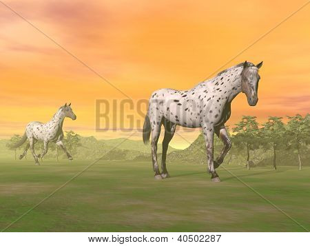Leopard heste i naturen - 3D Render