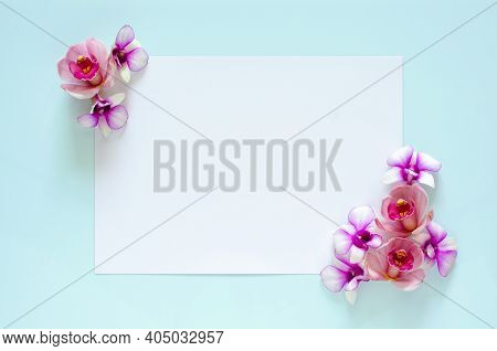 Empty White Paper For Text With Orchids Flower Of Two Coner On Pastel Blue Background.