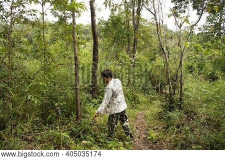 Forestry Officer Bring Thai People And Foreign Traveler Walking In Forest Visit Tham Buang Waterfall