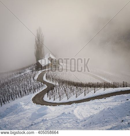 Famous Heart Shaped Wine Road In Slovenia In Winter, Heart Form - Herzerl Strasse, Vineyards In Wint