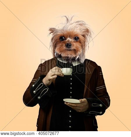 Morning. Model Like Medieval Royalty Person In Vintage Clothing Headed By Dog Head On Orange Soft Ba