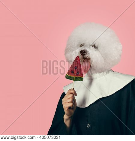 Tastes. Model Like Medieval Royalty Person In Vintage Clothing Headed By Dog Head On Coral Pink Back