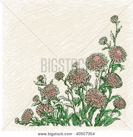 โรงแรมใกล้ asters