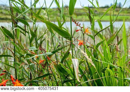View Beautiful Lake Image And Photo Free Trial Bigstock 