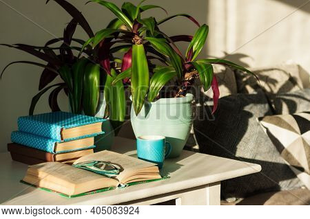Pile Of Books In Colorful Covers And Rhoeo Plant Tradescantia In Blue Ceramic Pots On A White Table