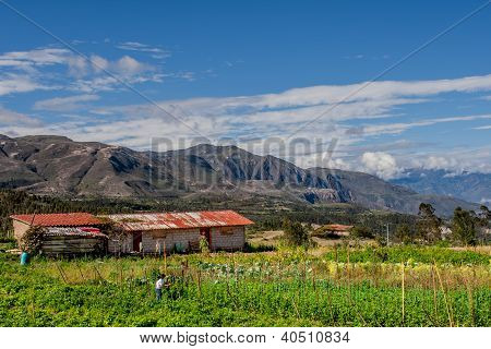 古罗，厄瓜多尔道路上 finca （农场）