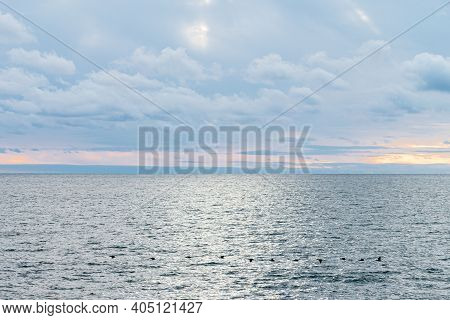 Calm Sea And Blue Sky With White Cirrus Clouds. The Sun Shines Through The Clouds. Birds Fly Along T