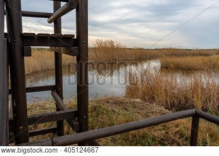View Of The Observatory Of The Natural Reserve Of Plants And Birds La Marjal Els Moros In The Town O