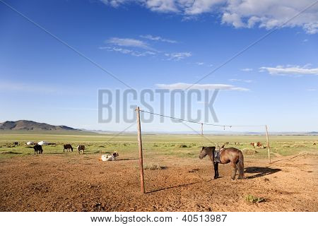 Pustyni Gobi