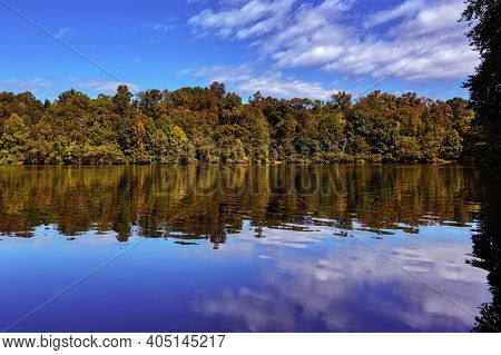 Trees Reflecting In Lake Montclair, Woodbridge, Virginia