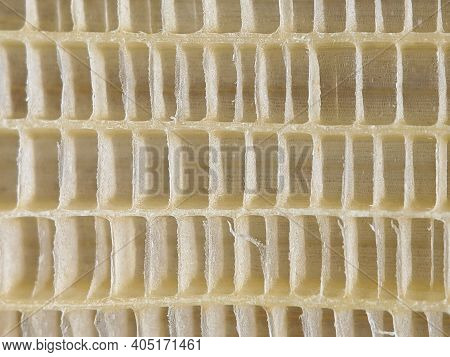 Banana Tree Midrib Texture Background, Top View Shot