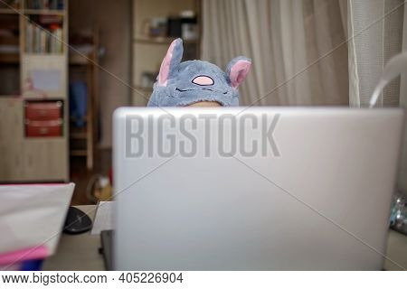 Distant Education, Online Class Meeting. Girl Wearing Funny Hat For Amusement During Online Lesson
