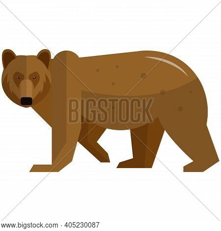 Brown Bear Wild Animal Vector Isolated On White Background