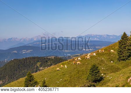 summer landscape near Monte Grappa, Northern Italy