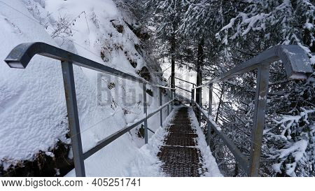 First-person View Of A Metal Bridge In The Forest. I Walk Across A Bridge In A Snowy Gorge, Among Wh