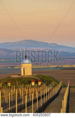Vineyards near Velke Bilovice with Palava in Southern Moravia, Czech Republic