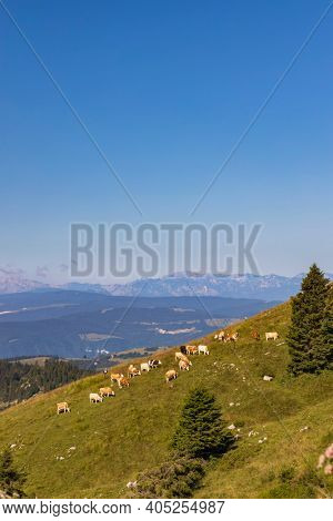 summer landscape near Monte Grappa, Northern Italy