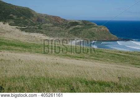 Landscape In Sandfly Bay. Sandfly Bay Wildlife Refuge. Otago Peninsula. Otago. South Island. New Zea