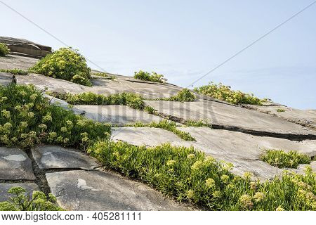 Cantabrian Sea Island Of San Anton, Village Of Getaria, Basque Coast Of Gipuzkoa In Spain