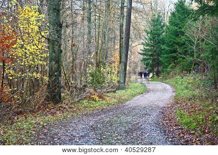 Metsä