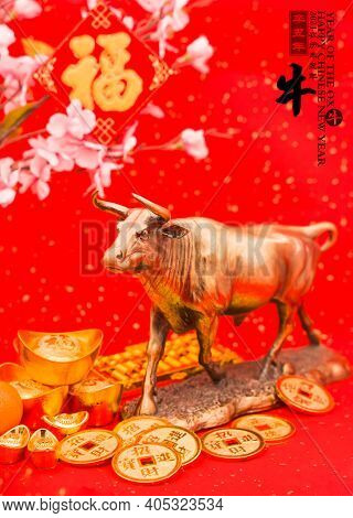Tradition Chinese 2021 is year of the ox,Chinese characters on rightside mesn chinese wording and seal mean:Chinese calendar for the year.leftside and gold ingot translation:good bless for money.