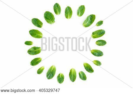 Wreath Frame Made Of Mint Leaves Isolated On White Background. Set Of Peppermint. Mint Pattern. Flat