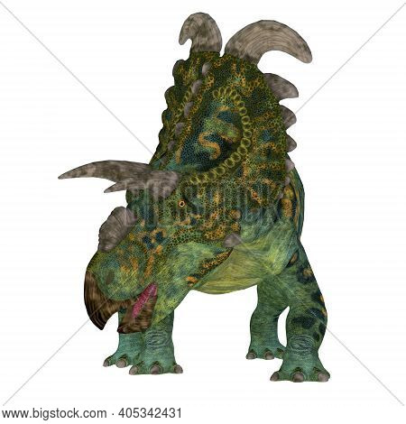Albertaceratops Dinosaur Front 3d Illustration - The Ceratopsian Herbivorous Dinosaur Albertaceratop