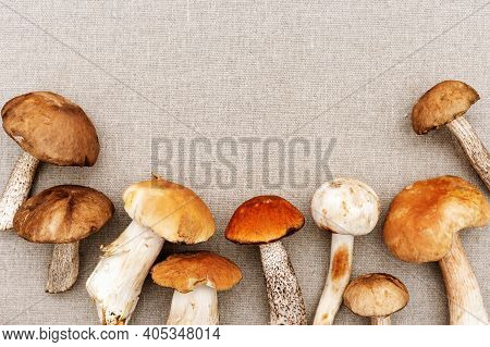 Various Forest Mushrooms On Sackcloth Background. Fresh Raw Fungus On Table. Scaber Stalk Birch Bole
