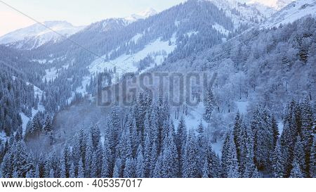 A Majestic Snowy Gorge With Fir Trees In Mountains. Tall Trees Brush Against White Clouds. Steep Cli