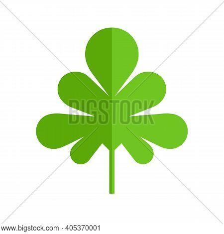 Parsley Or Cilantro Leaf Icon. Flat Vector Isolated On White Background.