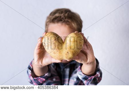 Trendy Ugly Vegetable, Heart Shaped Potato In Hands