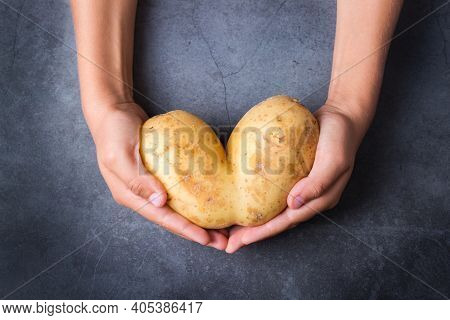 Trendy Ugly Vegetable, Heart Shaped Potato In Hands