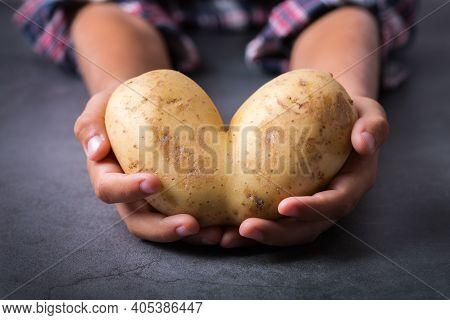 Trendy Ugly Vegetable, Funny Potato With Imperfect Heart Shape In Hands. Farmers Produce, Organic, M