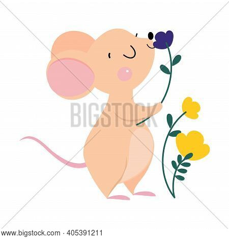 Cute Mouse With Pointed Snout And Rounded Ears Smelling Flower Vector Illustration