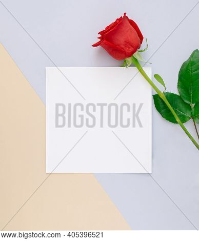 Geometric Valentine's Day Card With Red Rose On Muted Blue And Pink Colors And Square Copy Space