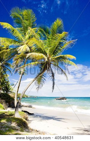 Cumana Bay, Trinidad