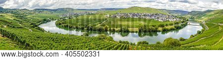 Panorma From Beautiful Moselle Valley With View To Trittenheim In Germany