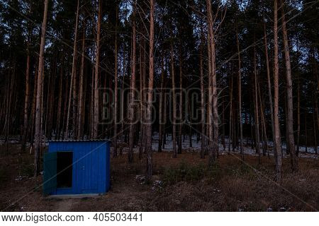An Outdoor Wooden Toilet Stands In A Dark Forest Against The Background Of Tall Coniferous Trees.