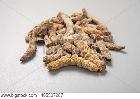Side View Chinese Medicine Jiangcan Or Bombyx Batryticatus Or Stiff Silkworm