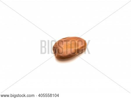Studio Shot Single Fava Bean Or Broad Bean Isolated On White Background