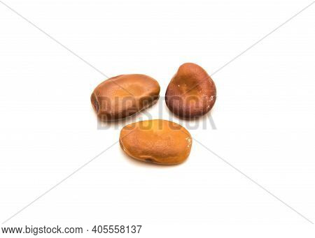 Three Fava Beans Or Broad Beans Planting Seeds Isolated On White Background