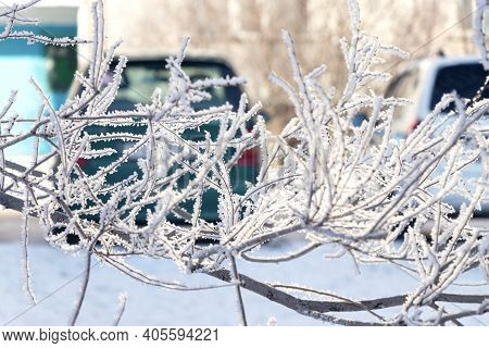Branch Of Tree Covered With Frost On Blur Parking Background. Winter Landscape. Soft Focus