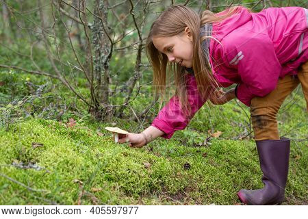 Elementary age girl found a potentially dangerous mushroom while playing in a backyard or camping in a forest- risk of child mushroom poisoning concept