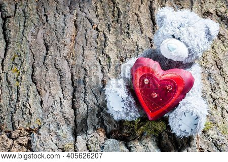 Teddy Bear With A Red Heart On The Bark Of A Tree With Moss, Close-up