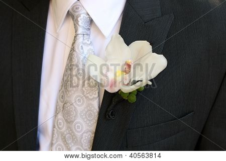 Vestindo uma orquídea Boutonniere do noivo