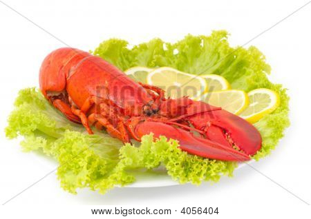 Hummer middag serveres på Plater med citron