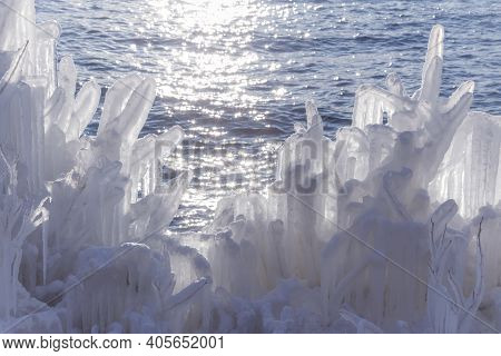 Icicles On Brunches Of Trees On The Coast Of Baikal Lake